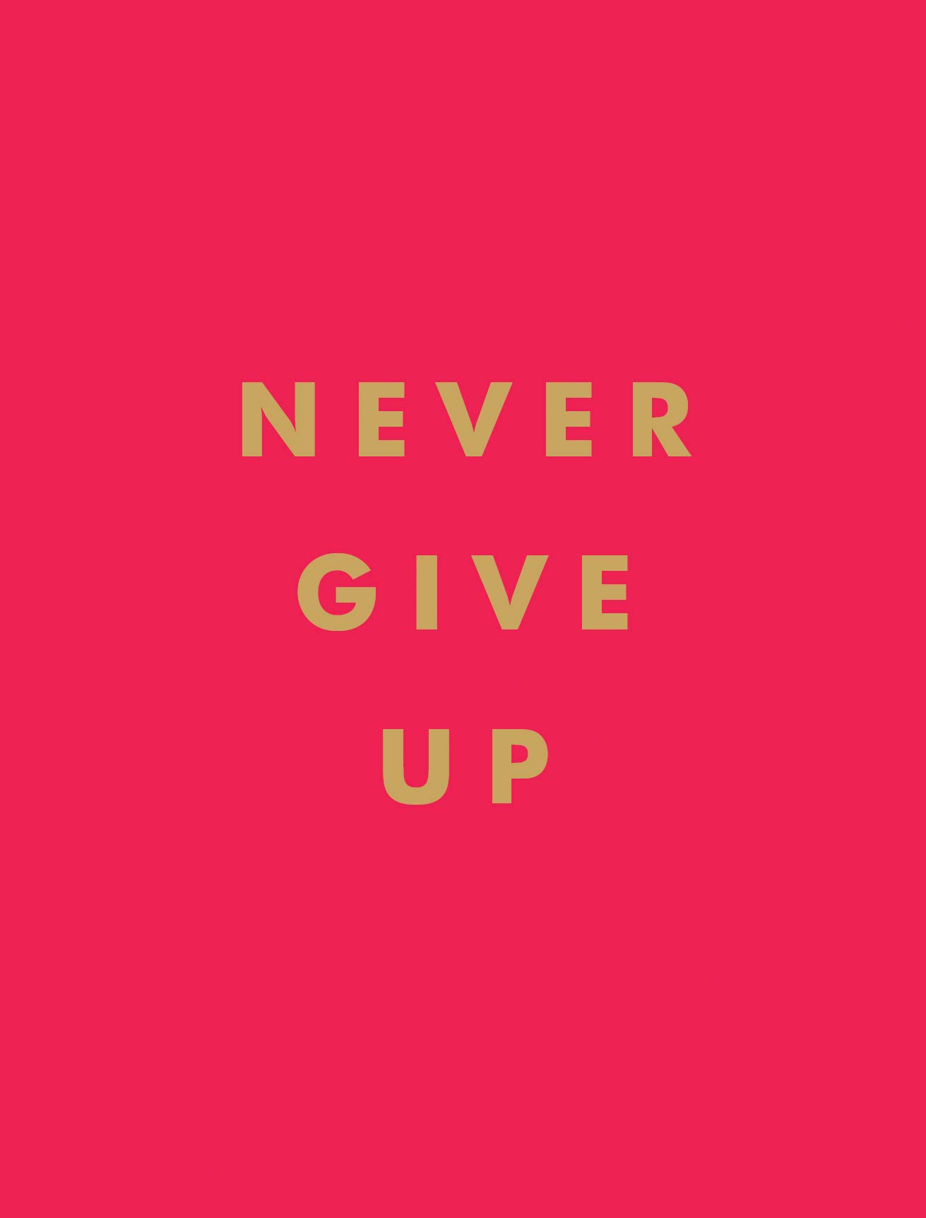 Never Give Up