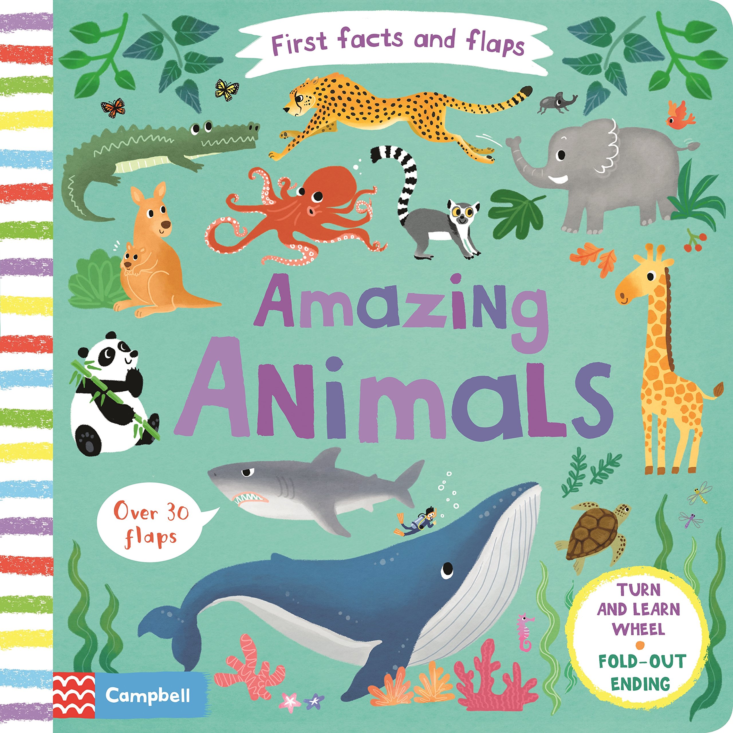 English Books :: By Categories :: Children's Books :: First Facts and Flaps: Amazing Animals English Books :: By Categories :: Children's Books :: First Facts and Flaps: Amazing Animals