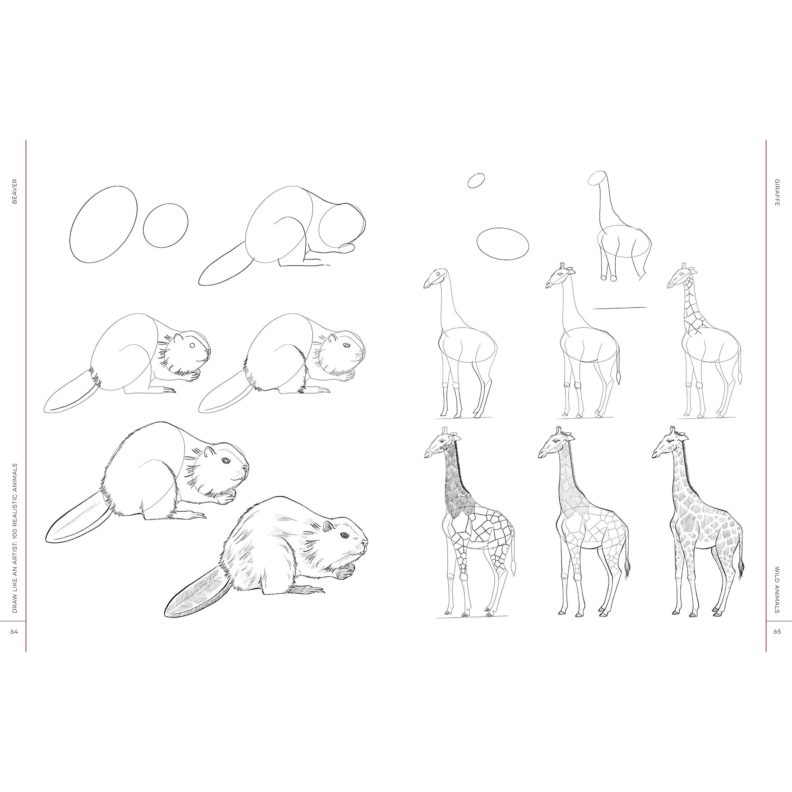 Draw Like An Artist: 100 Realistic Animals
